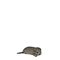 Bumble Flight